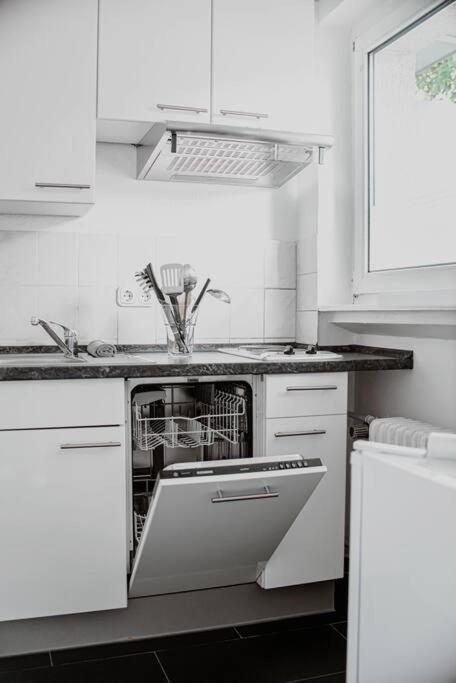Wiesbaden - Apartment Im Nerotal Exteriér fotografie
